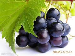 一品粉香 葡萄粉 葡萄中的多量果酸有助于消化 健脾